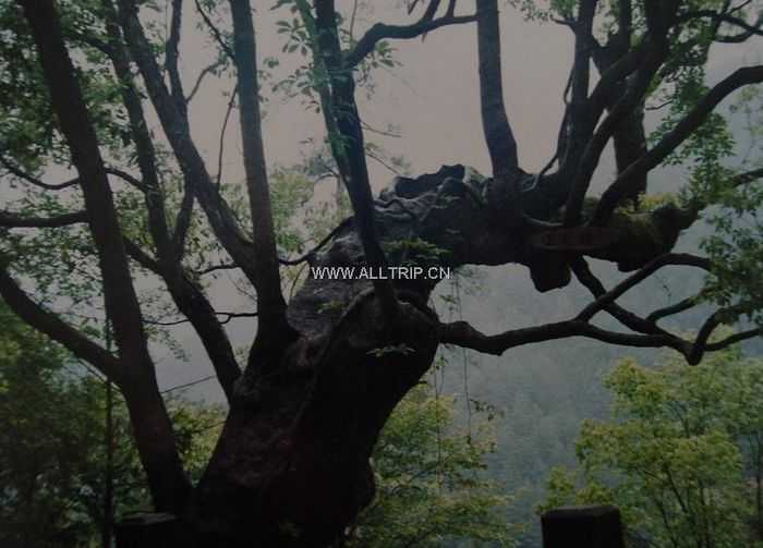 炎陵湘山公园