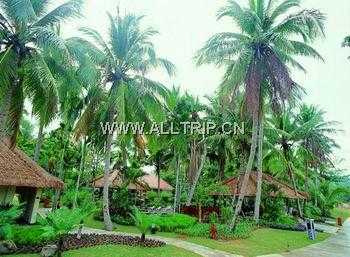 珠江南田度假区