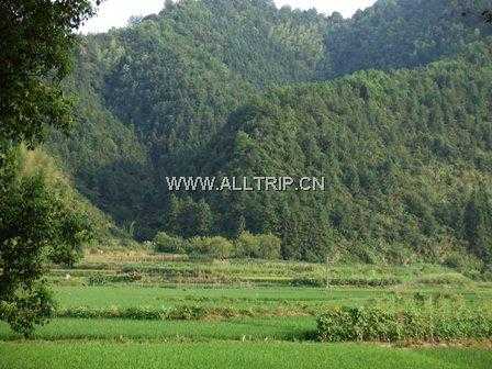 严田古樟民俗园