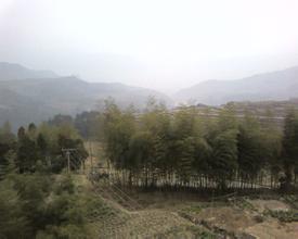 岚岩村