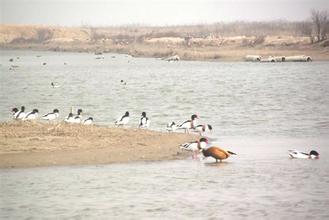 大洼西安生态旅游区