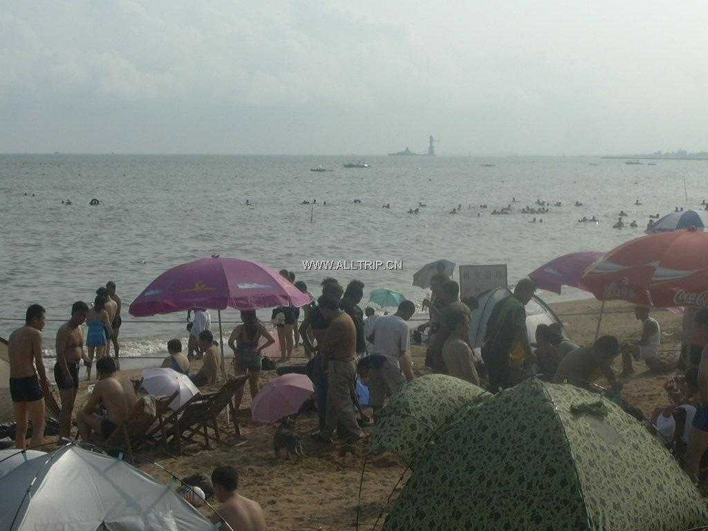 浙江丽水旅行社组团单位到北戴河一地三日而后付哈尔滨连线旅游