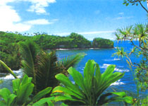 夏威夷热带植物园