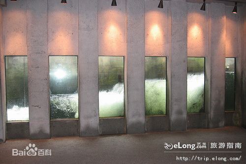 卡皮兰诺鲑鱼孵化场