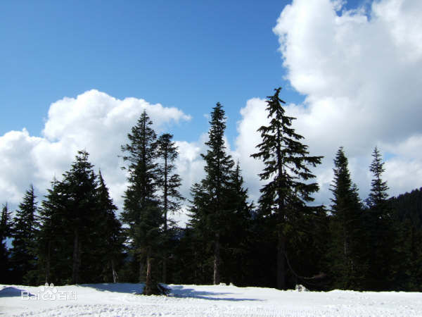 松鸡山