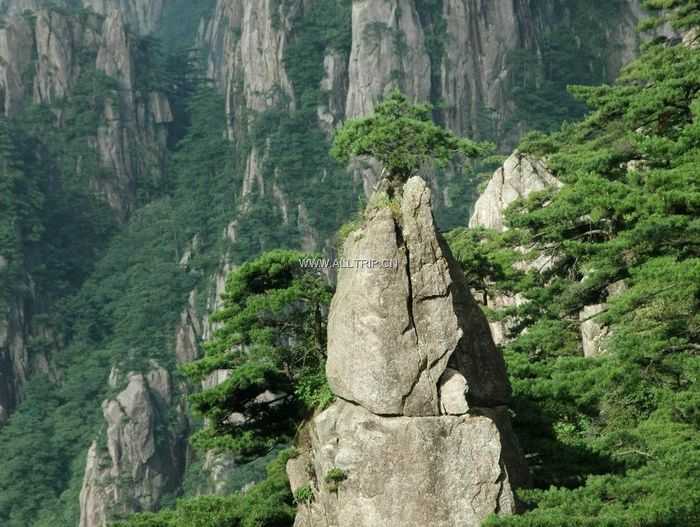 安徽合肥出发到黄山二日游（山下一晚）