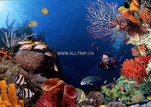 水族馆