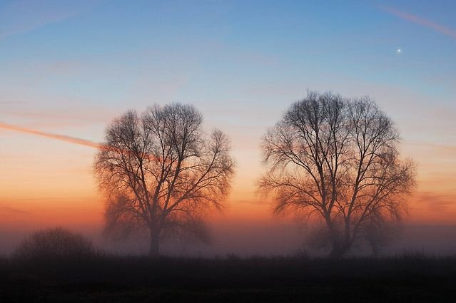 坎皮诺斯国家公园