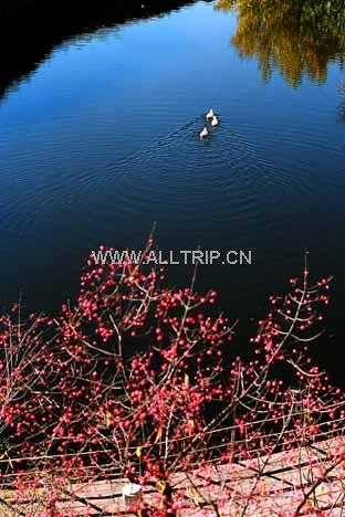 安家沟生态旅游区