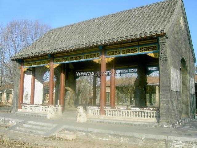 南皮石金刚 