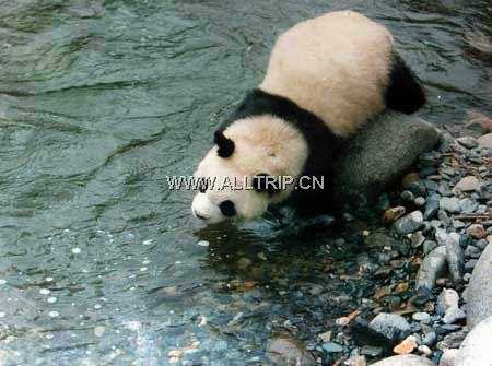 白水江生物圈保护区