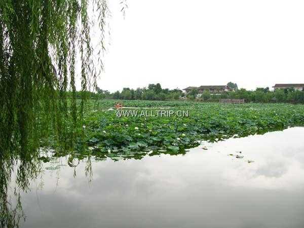 右江河谷