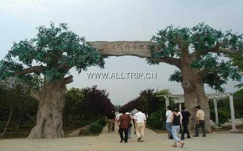 苏北花卉示范园