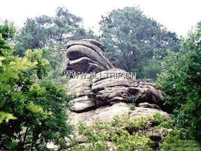 钢山森林公园 