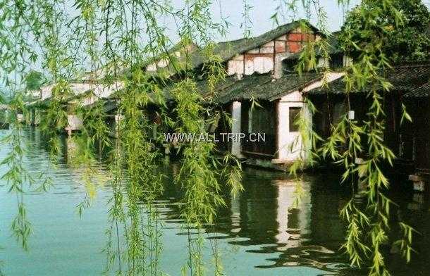 隋堤