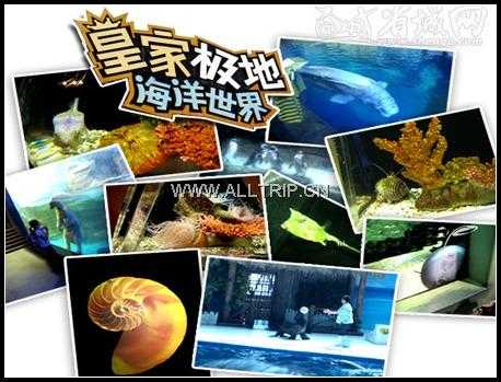 皇家极地海洋馆