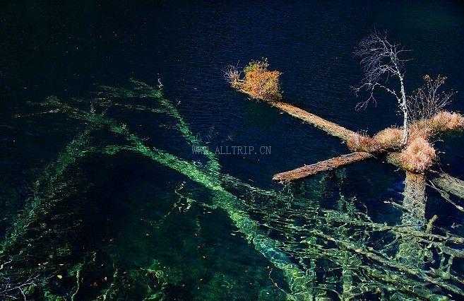 哪家旅行社九寨沟旅游最便宜 深圳到九寨沟五日游价格多少钱