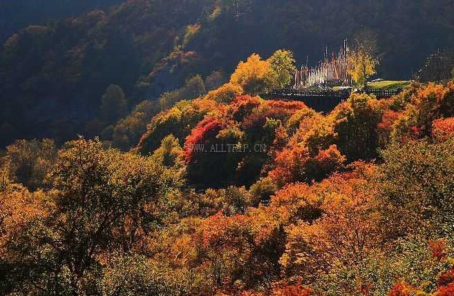 南京出发成都、九寨、黄龙、乐山、峨嵋四飞七日（常规游）