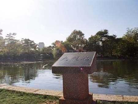 九龙池