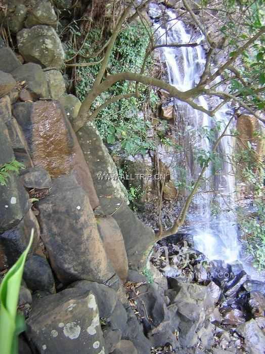 九龙山自然保护区