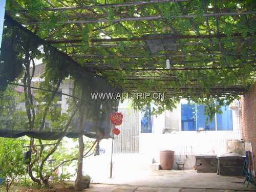 石城乡民俗客栈