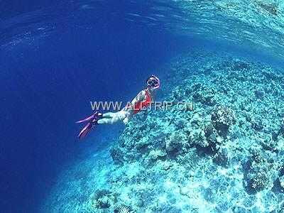 沙巴自助游攻略 深圳到沙巴4天自由行费用