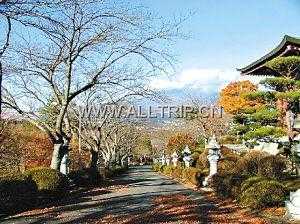 北海道旅游网 深圳组团到日本北海道5天滑雪旅游