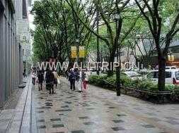 太田艺术纪念馆 