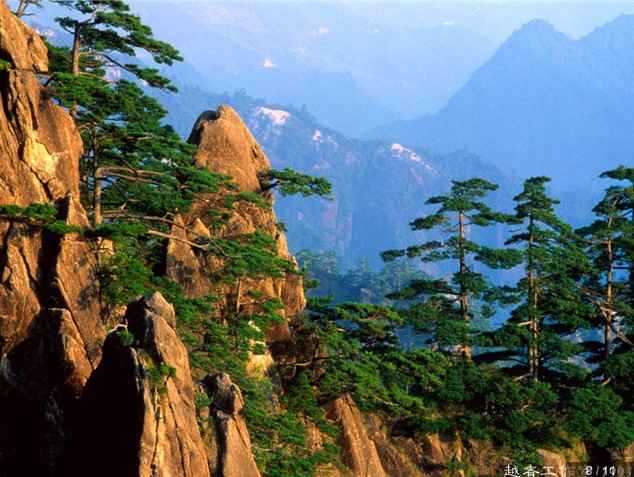 黄山松景点介绍 - 黄山黄山松<em>门票</em>价格/黄山松