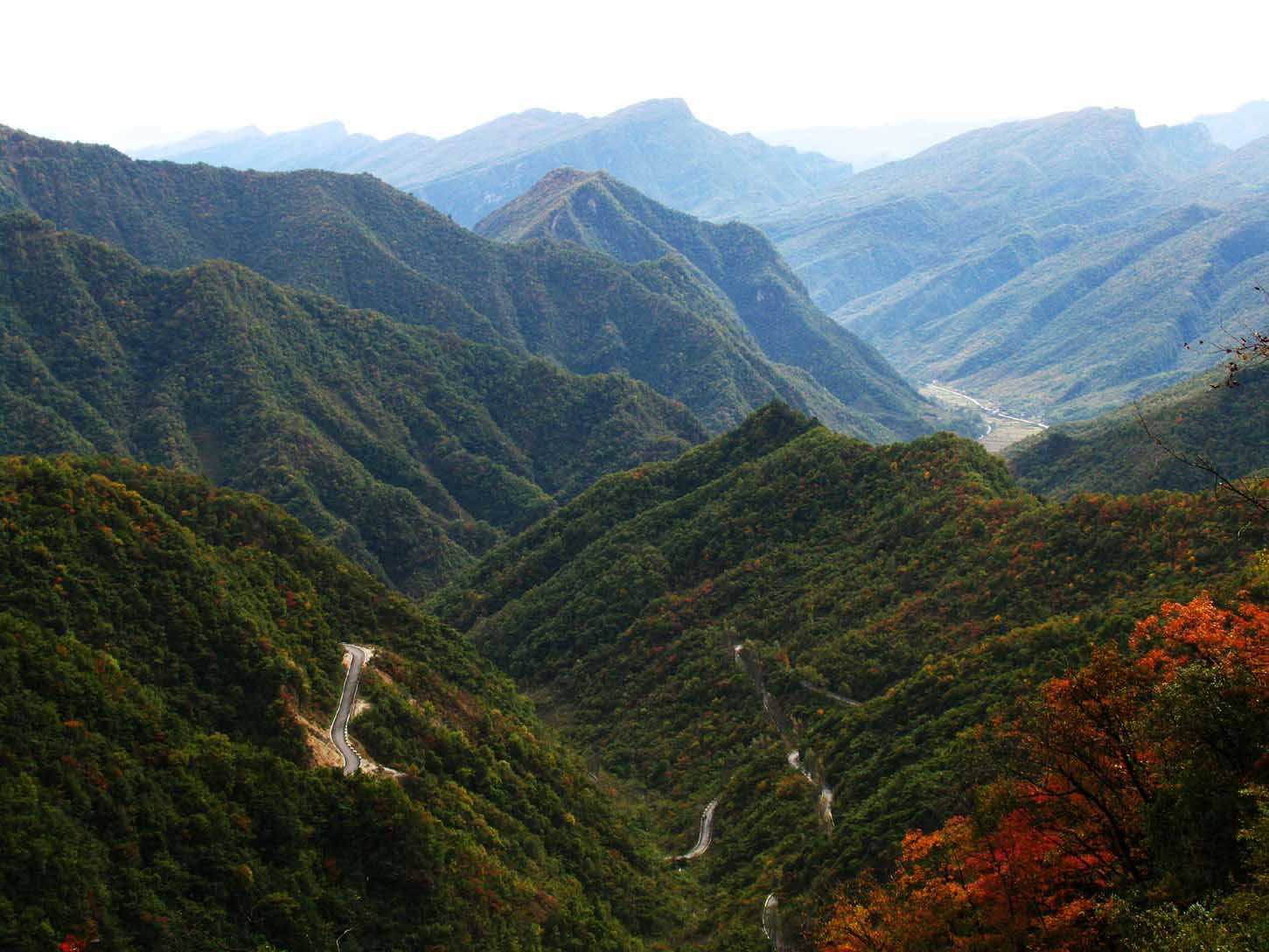 神农架自然保护区