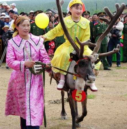 敖鲁古雅驯鹿之乡