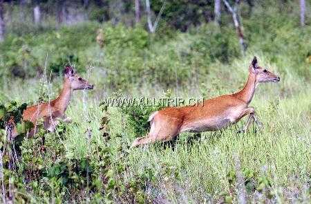 海南大田自然保护区