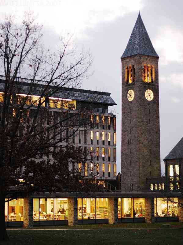 康乃尔大学
