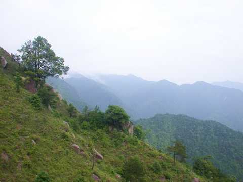 天井山
