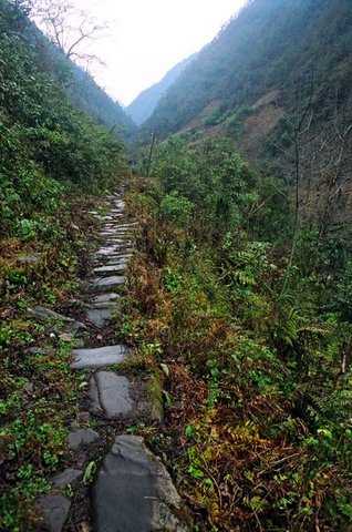 高黎贡山自然保护区