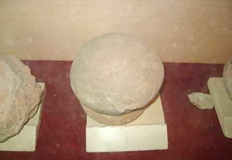 青龙山恐龙蛋化石群