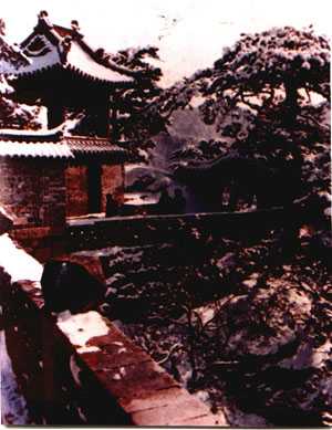 无量观