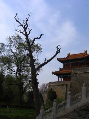 西岳庙
