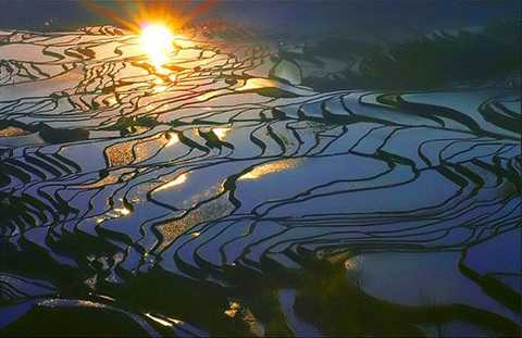 龙树坝