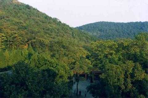 天井山国家森林公园