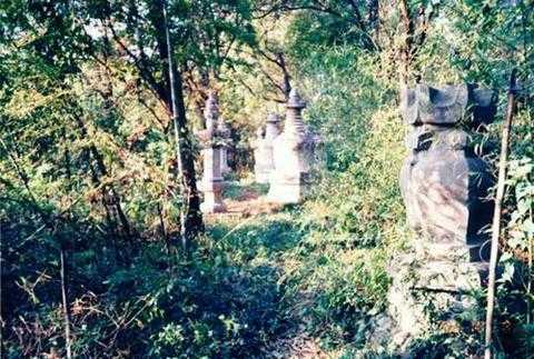天隆寺塔林