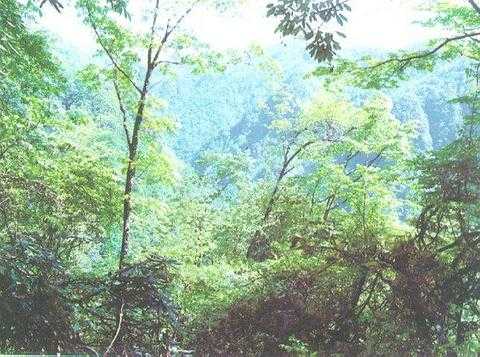 瓶山公园