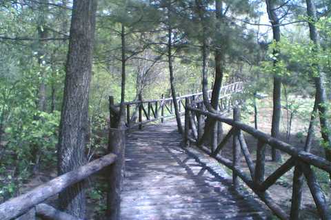 天下第一木栈道