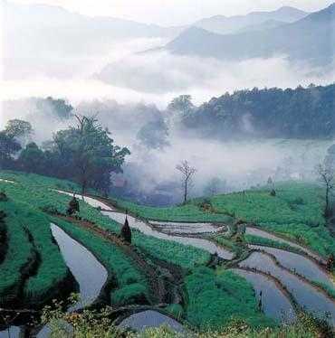 婺源江湾景区