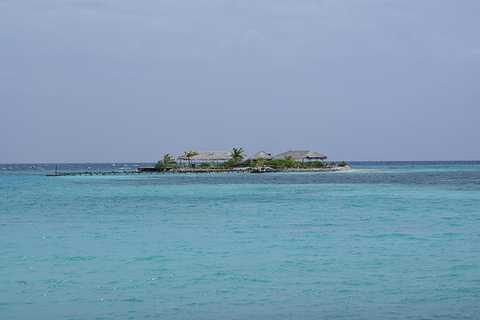 【白金岛
 ,白金岛三打哈官方下载安装】