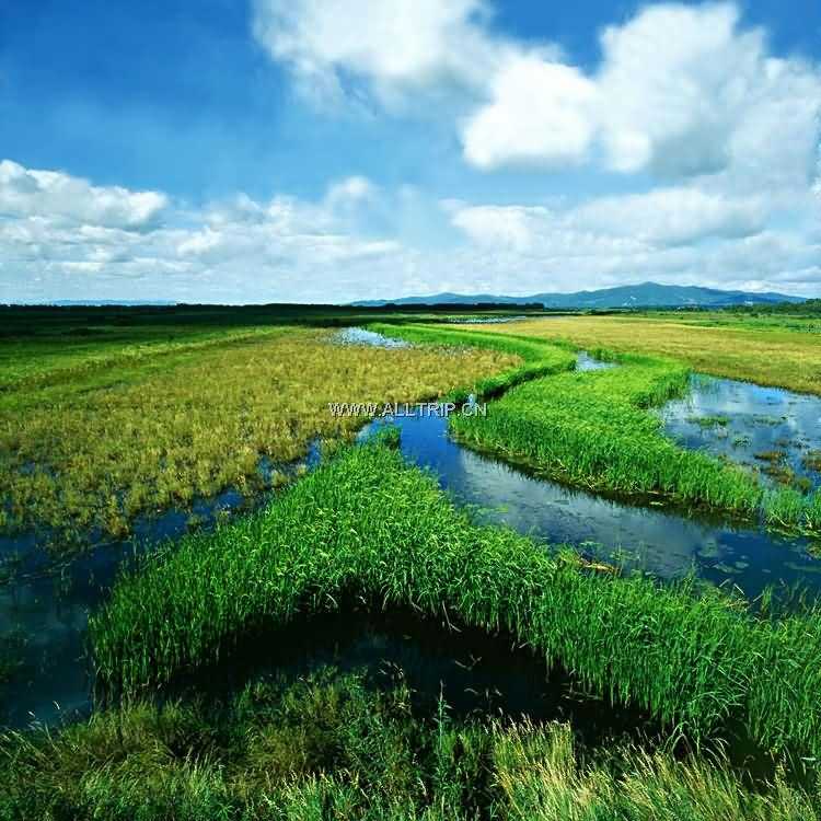 三江自然湿地保护区