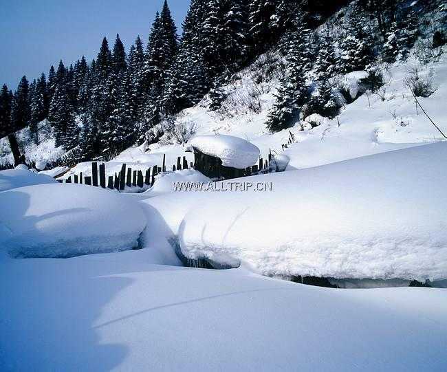 哈尔滨滑雪旅游价格 深圳到哈尔滨旅游亚布力滑雪五天团最优惠(特价东北滑雪团)