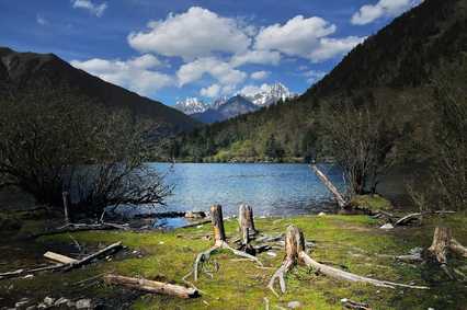 夹金山国家森林公园
