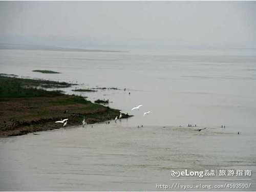 黄河滩岛