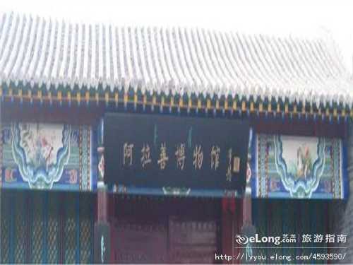 阿拉善博物馆